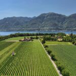 Cantina alla Maggia_Key Visual_WEB