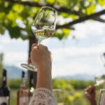 TheLivingCircle_CantinaAllaMaggia_(C)DigitaleMassarbeit_003_or_WEB