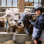 AGRIESPERIENZA AZIENDA AGRICOLA CROCE