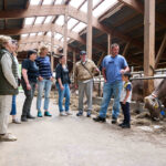 AGRIESPERIENZA AZIENDA AGRICOLA CROCE