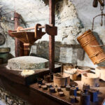 AGRIESPERIENZA AZIENDA AGRICOLA CROCE