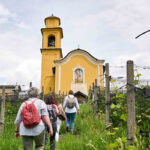 AGRIESPERIENZA MANIMATTE