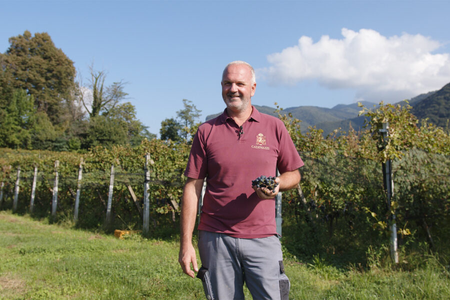 Un anno di vita in ogni bicchiere