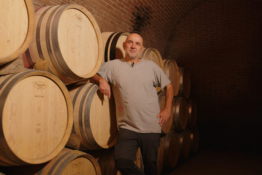 Vini che raccontano il territorio: tradizione, sfide e innovazione in vigna