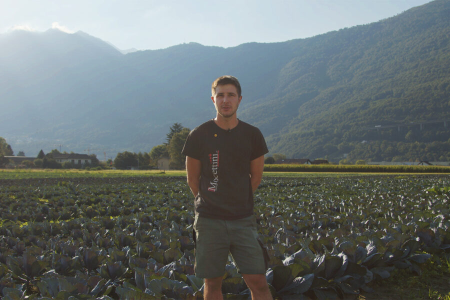 Dal campo alla tavola: il valore delle colture locali