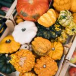 Web image-LR_mercato-gastronomia_lugano_milo-zanecchia_17-09-2018_0002